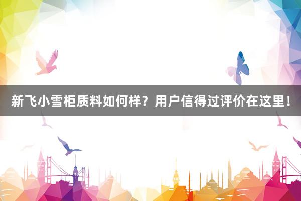 新飞小雪柜质料如何样？用户信得过评价在这里！