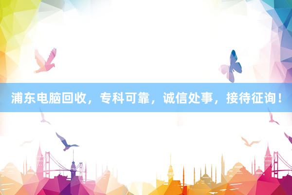 浦东电脑回收，专科可靠，诚信处事，接待征询！